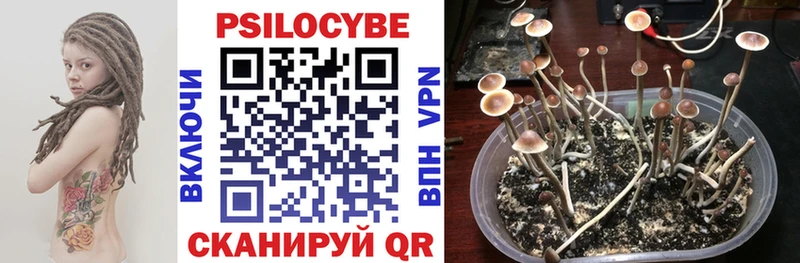 Псилоцибиновые грибы мухоморы Электрогорск